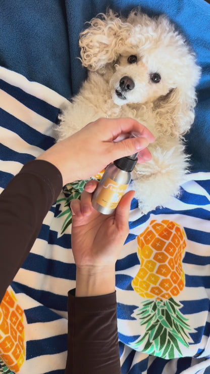Paw care kit: paw serum and wax