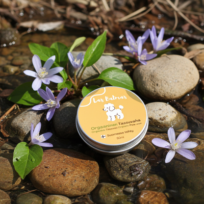 Dog paw wax